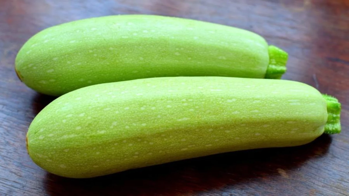 Where to Plant Zucchini for Double Harvest