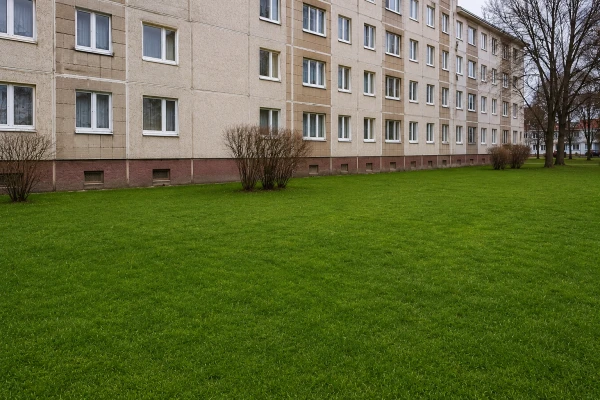 Участок земли перед домом.