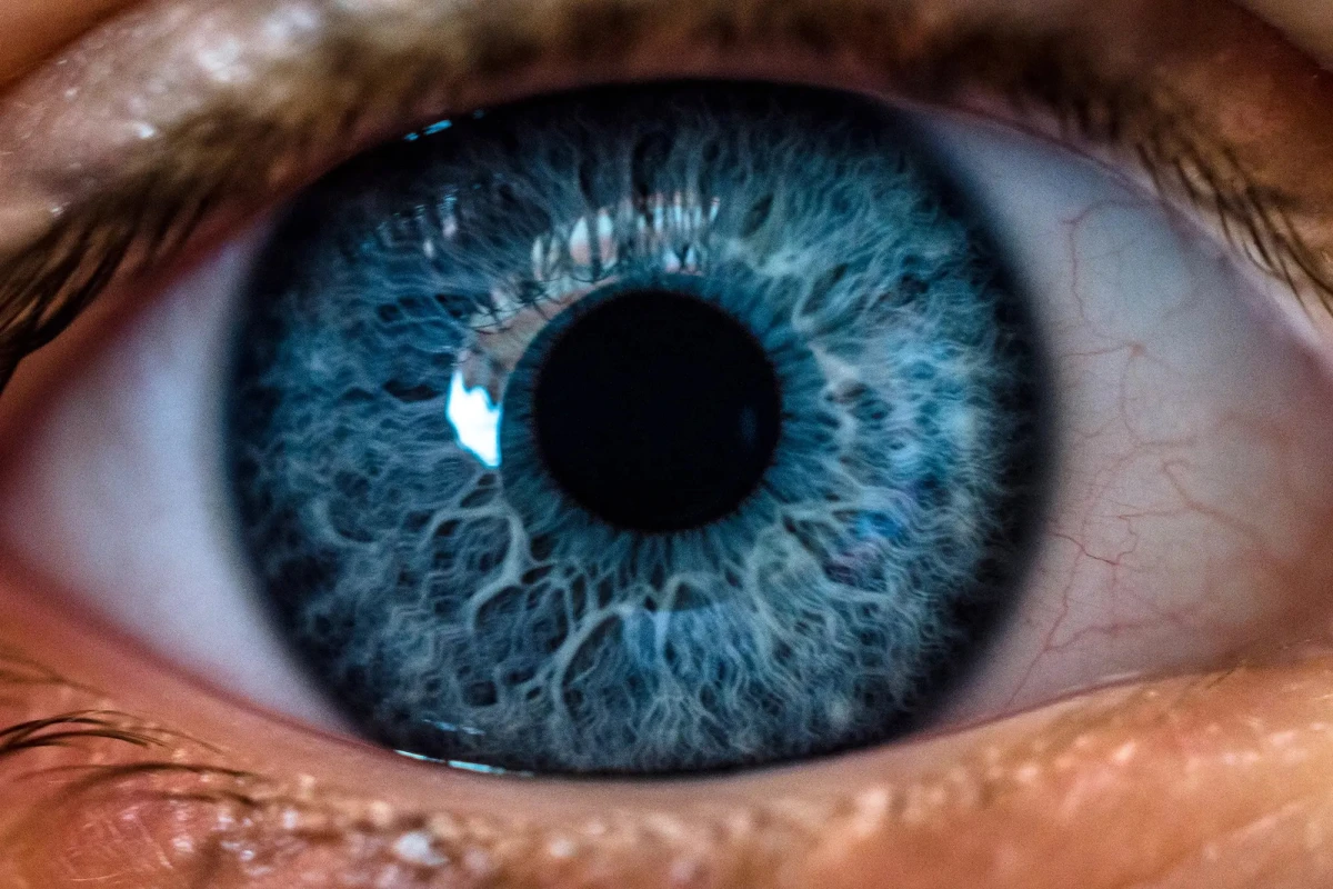 Why People See Flashes and Patterns with Their Eyes Closed — An Explanation from Doctors