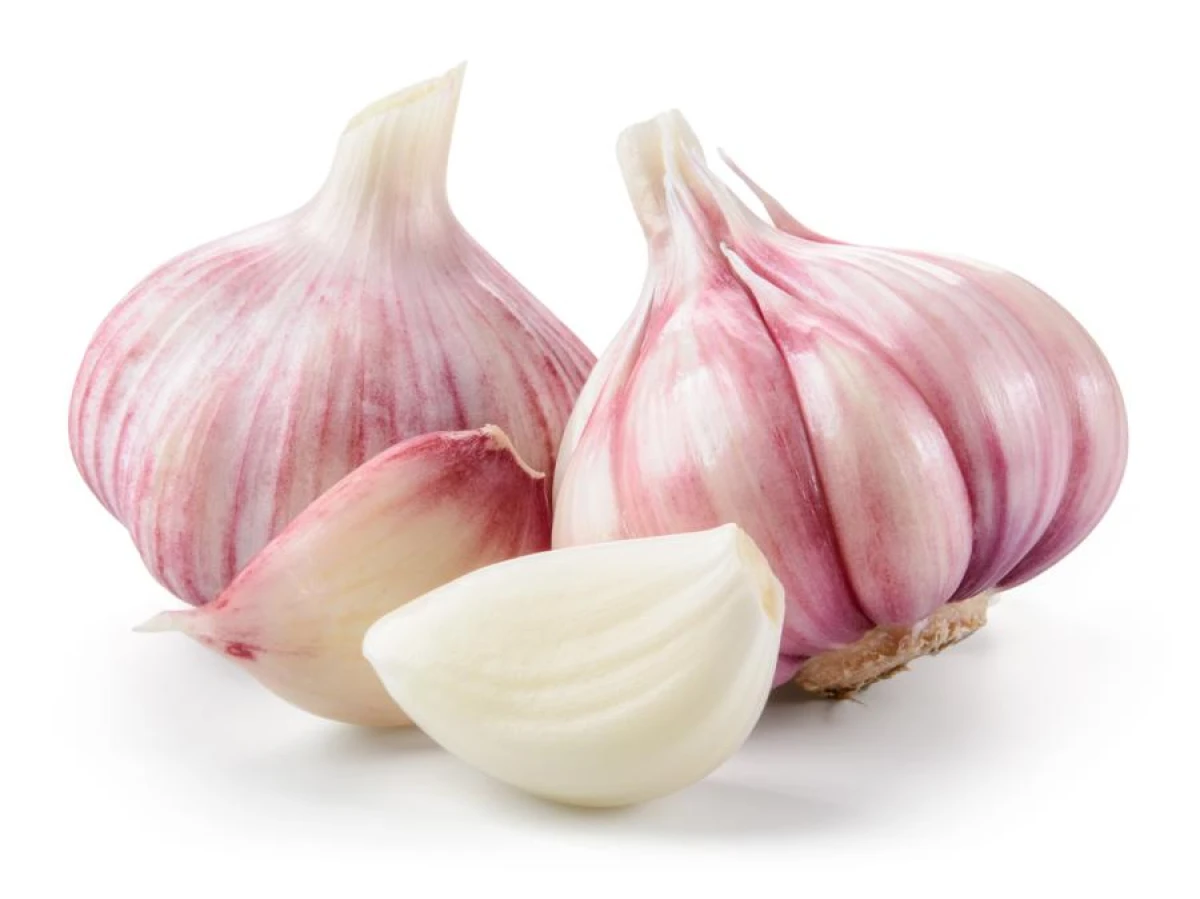 Secret Trick for Increasing Garlic Yields