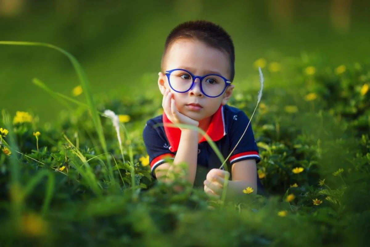 IQ of a Child: How to Determine It in a Playful Way