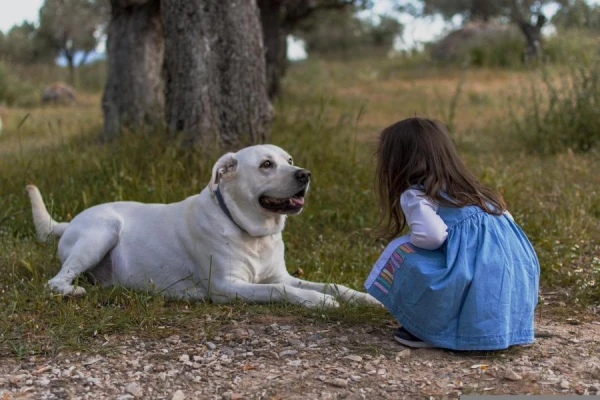 15 dog breeds that get along well with children
