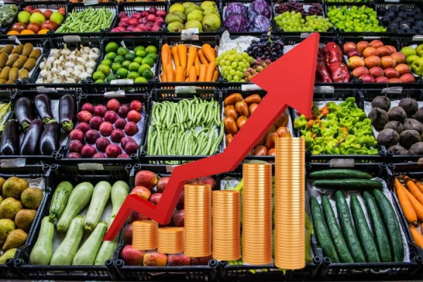 Овощи на лотке в магазине