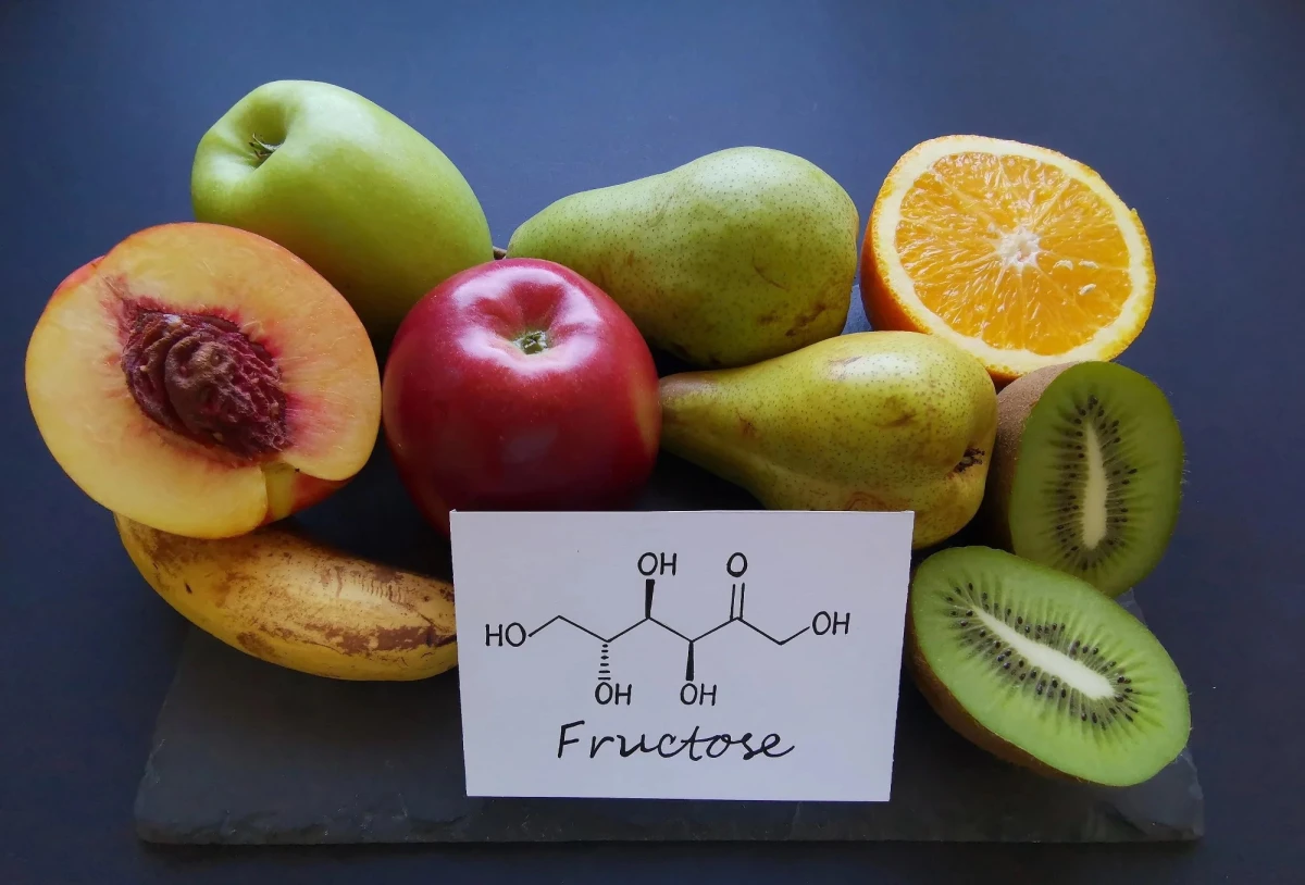 Excess Sugar Affects the Brain: Scientists Find Link Between Fructose and Anxiety