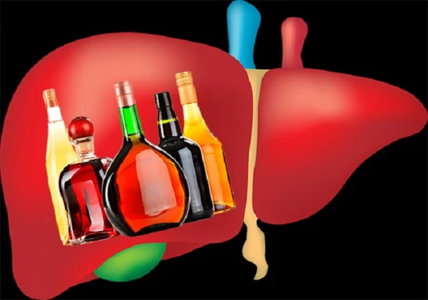 A Narcologist Explained How Long the Liver Needs to Recover After Quitting Alcohol