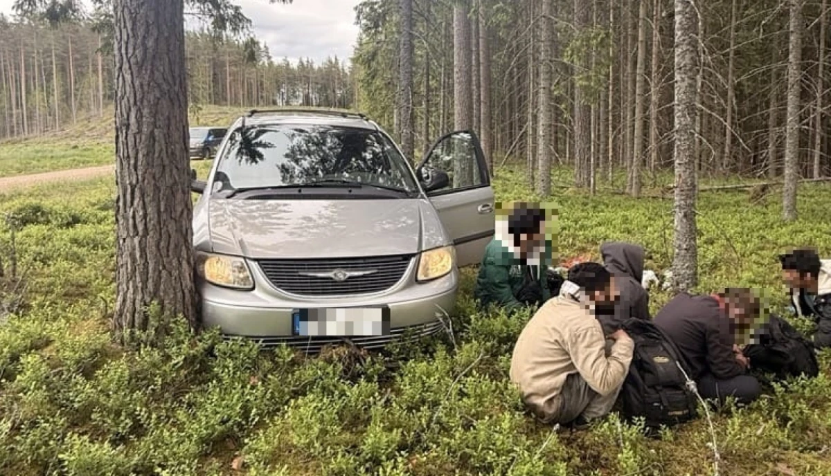 Нелегальные мигранты, задержанные в лесах Латвии