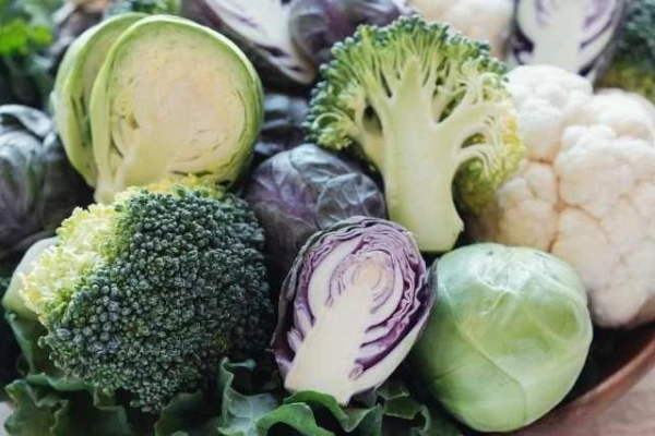 Mistakes When Growing Cabbage: What Gardeners Should Avoid