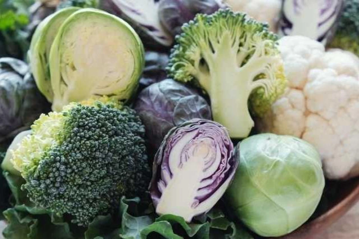 Mistakes When Growing Cabbage: What Gardeners Should Avoid