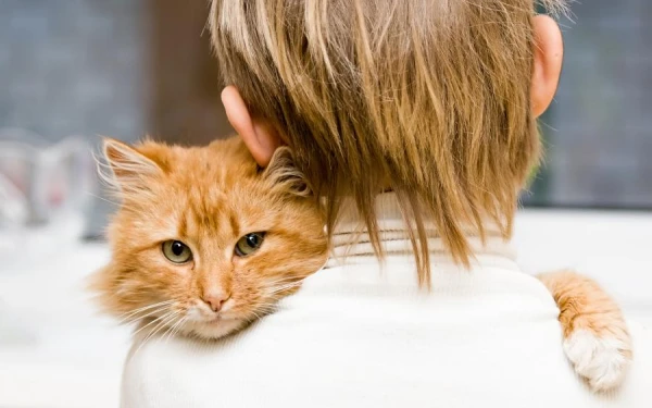 Why Cats Show Interest in Pregnant Women: Unexpected Reasons