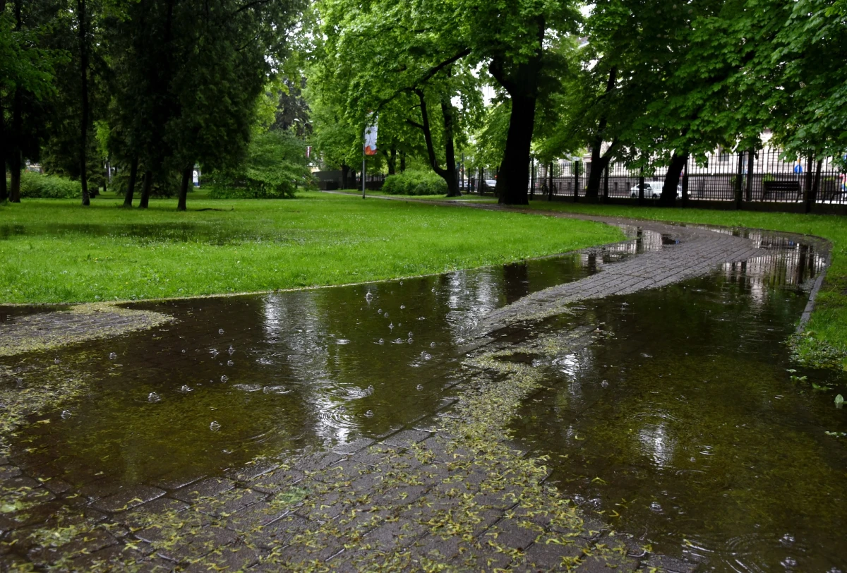 Лужи в парке