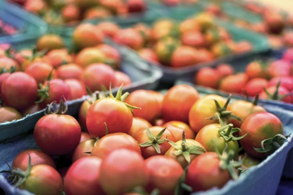 Three Fertilizers That Tomatoes Love After Planting