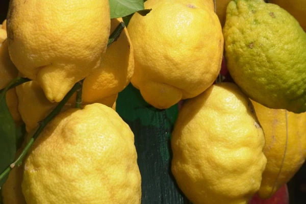 Delicious Salted Lemons: Recipe for a Popular Dish