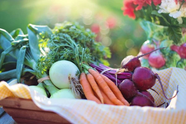 Don't Throw Away the Peels: 9 Vegetables You Can Grow from Scraps