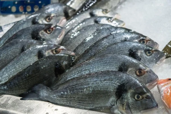 Why is fish sometimes red and sometimes white?