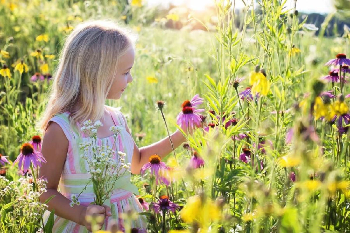 How to Entertain a Child at the Summer Cottage: Leisure Ideas
