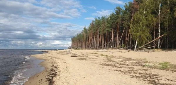 Погода на море