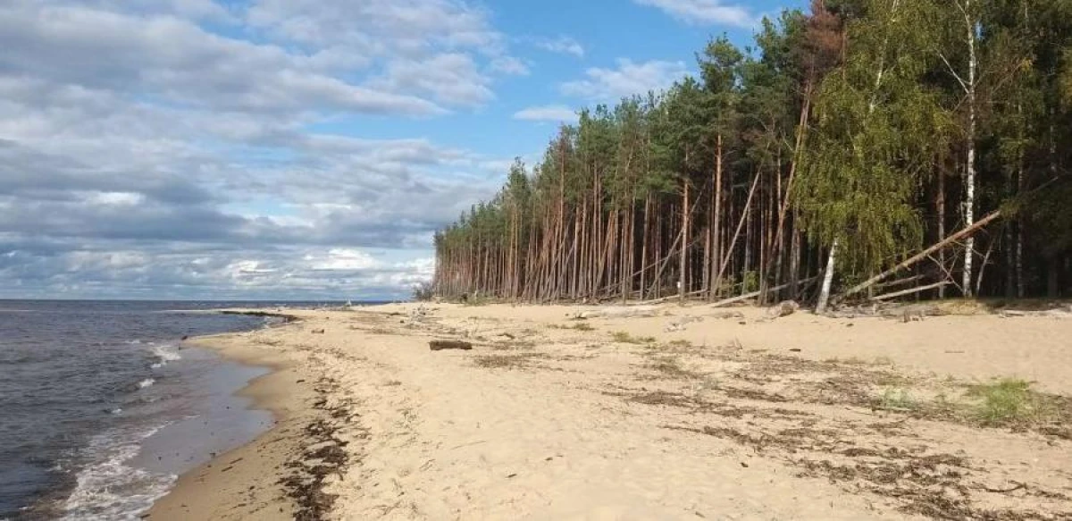 Погода на море