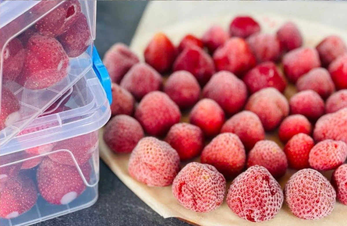 How to Freeze Strawberries for Winter: Secrets to Preserve the Flavor, Aroma, and Shape of the Berries