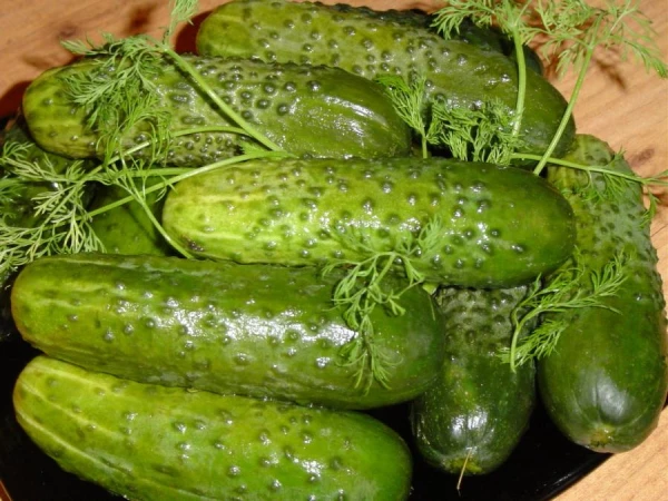 How to Quickly Prepare Lightly Salted Cucumbers: Secrets from Experienced Hosts