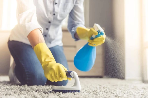How to Make Carpets Soft and Fragrant: A Simple Trick