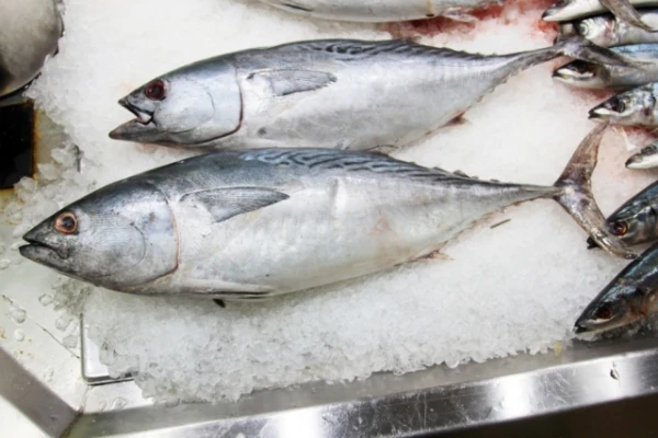 Tuna Contains Mercury, but Not All of It Is Equally Dangerous