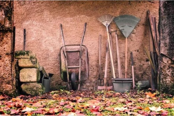 Why an Agronomist Does Not Advise Treating the Garden Before Winter?