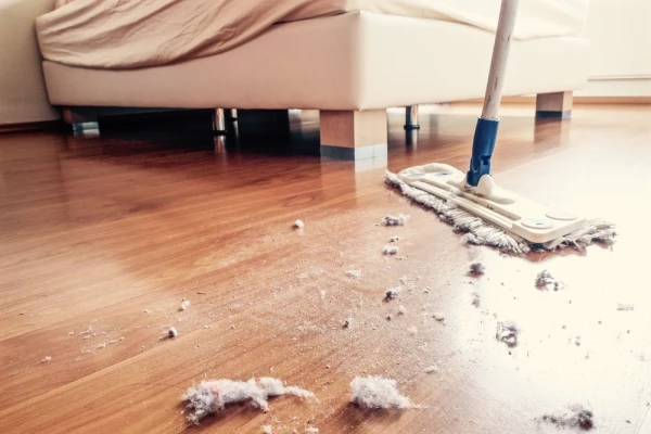 Why Dust Accumulates in the House and How to Fight It