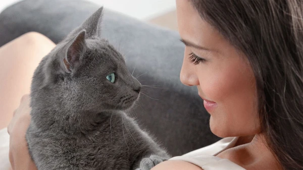 What Kind of Owner Cats Like: What Pets Appreciate