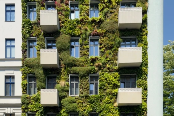 Biophilic Design: How Vegetation Changes Interior Spaces and Life