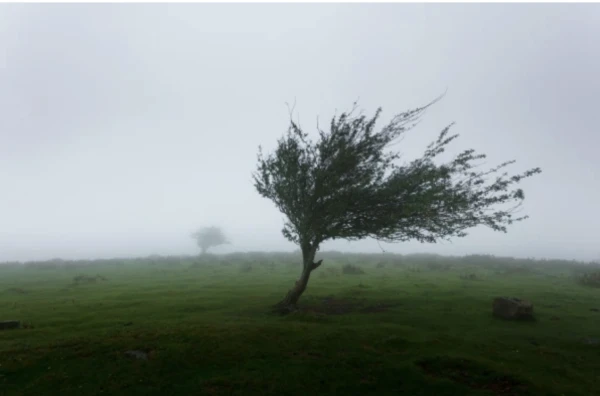 The Wind is Coming to Latvia - Meteorologists Warn Residents