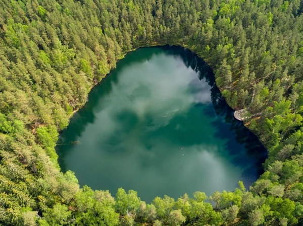 The Secret Ritual at Devil«s Lake! Mushroom Pickers Discovered Elon Musk in Latgale and Fled