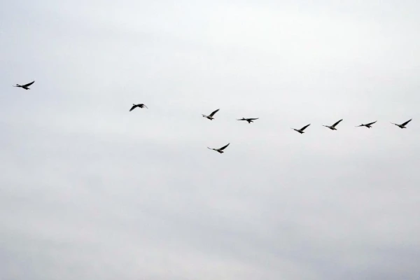 Today the sky will be overcast