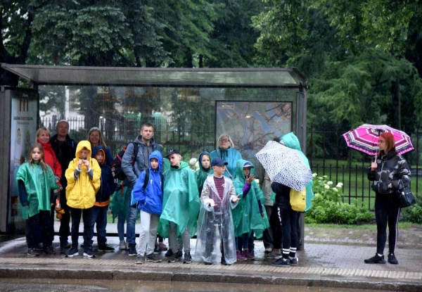 In Tartu, over 100 birds are killed annually by bus stops. What to do?