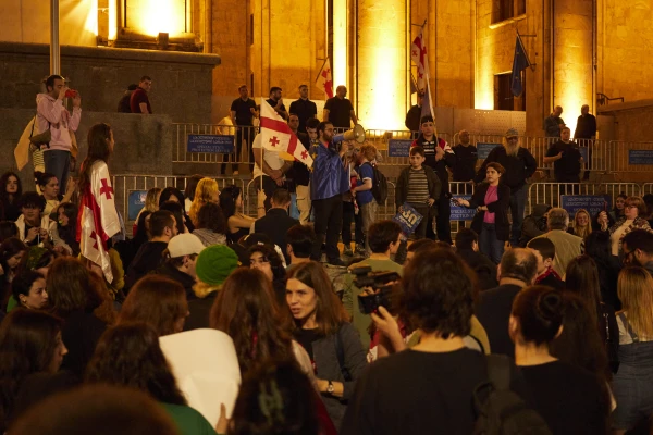 Clashes in Tbilisi After Municipal Elections: Demonstrators Attempted to Storm the Presidential Palace