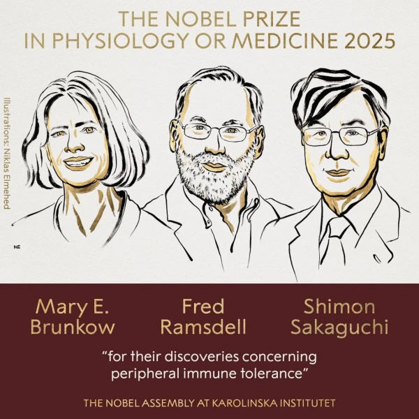The Nobel Prize in Medicine Awarded for Discoveries in the Field of Immunity