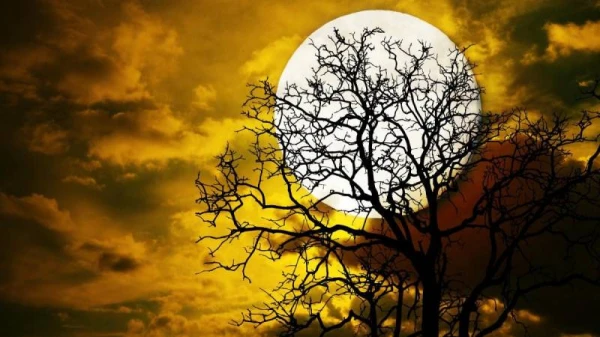 A Supermoon is Expected Tomorrow: What Is It?