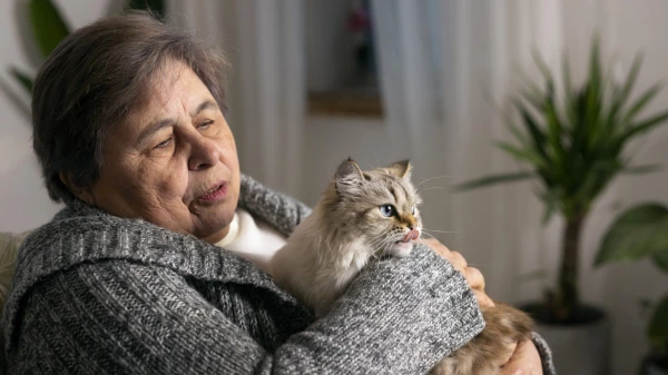 An Unexpected Link Between Injury and Dementia Surprises Scientists