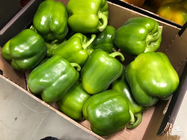Cheaper Doesn’t Mean Healthier: What’s the Danger of Green Peppers