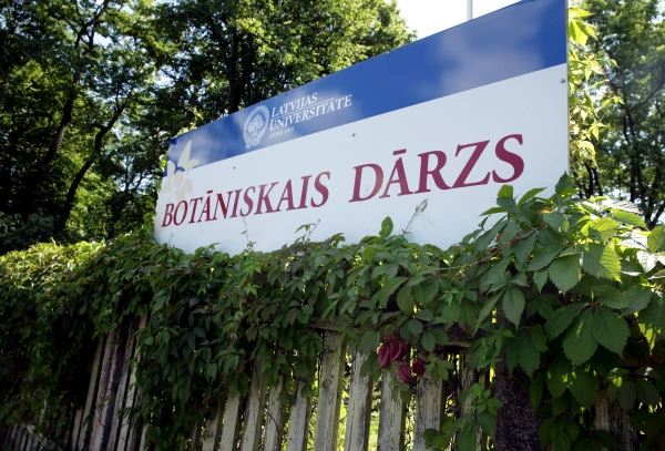 Another reorganization is coming: now at the botanical garden