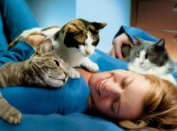 Fluffy Therapists: How Cats Heal Us Without Pills