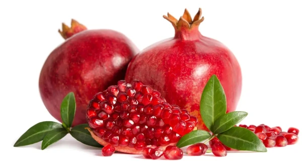 Pomegranate Launches the «Youth Hormone»: How the Fruit Affects the Mature Body