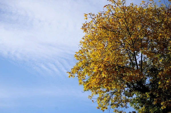Wednesday will be sunny, but an atmospheric front is approaching from the west