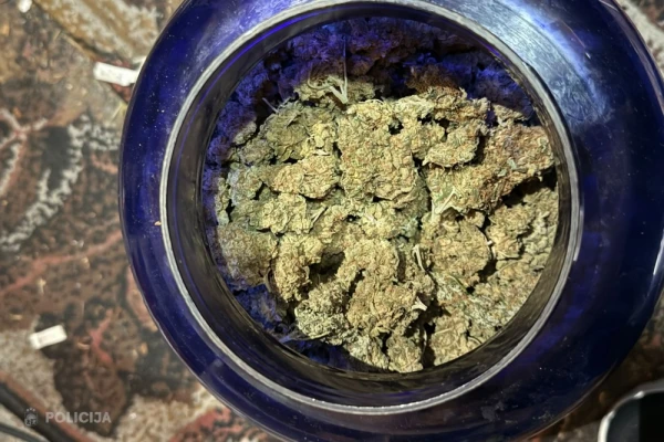 What a catch! Police seized drugs worth half a million euros