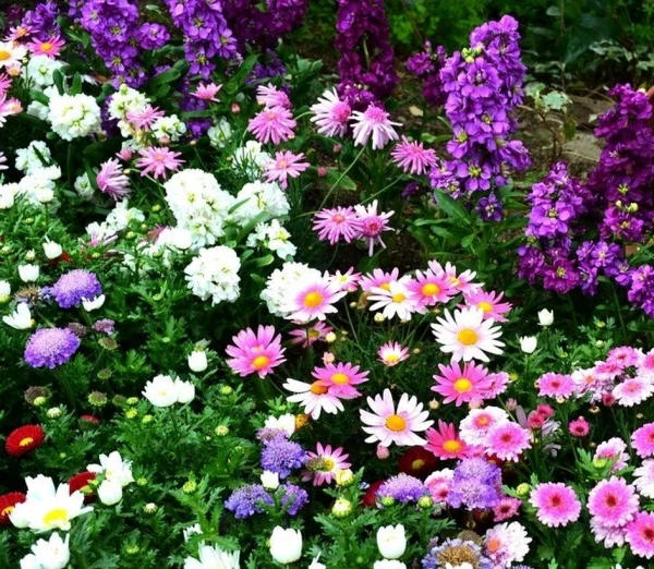 What to Plant in a Flower Bed to Enjoy It Year-Round