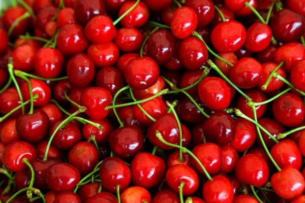 A Popular Berry Has Been Found to Improve Brain Function