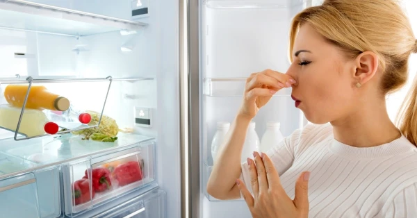 15 Ways to Eliminate Unpleasant Odors in the Refrigerator — Without Chemicals and Forever
