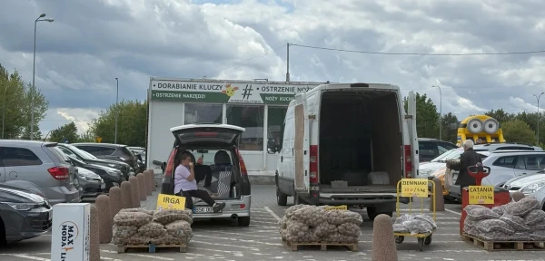 Любимый корнеплод выращивается всеми фермерами страны.