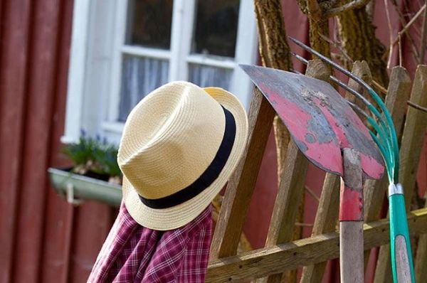 What to do in the garden in October?