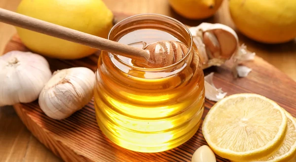 Natural Antibiotics: Which Foods Contain Phytoncides