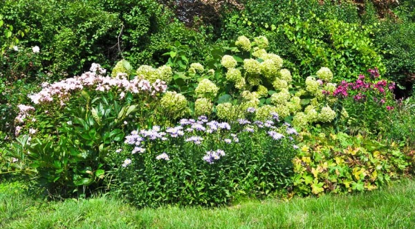 How to Properly Prune a Flower Bed in October